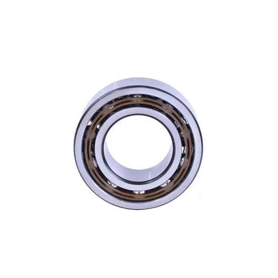 40bd49 40bg05s2s-2ds Audi 100 A/C Compressor Bearing