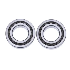 Asahi FYH NTN NSK UKP212-UKP218 Pillow Block Insert Bearings