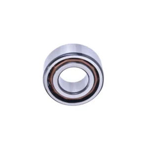 Ge4e Geg4e Geew12es Geem20es-2RS Spherical Plain Bearing