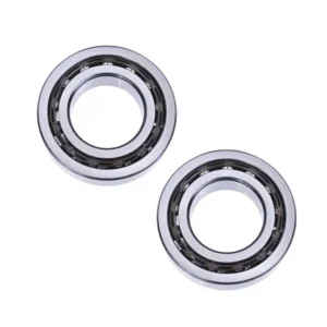 Asahi Fyh NTN NSK UK210-UK218 Pillow Block Insert Bearing