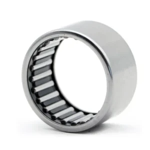 Bdl Needle Roller Bearing Na4834/36/38 High Quality
