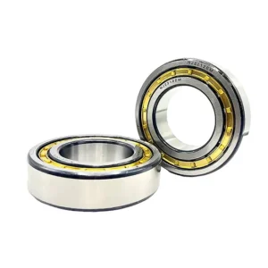 Fyj40TF Pillow Block Bearing Cast Iron High Performance