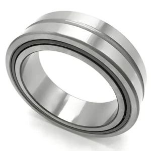 High Quality Bdl Needle Roller Bearing Na4860 Na4864 Na4868