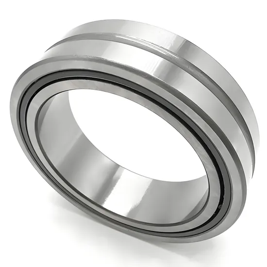 High Quality Bdl Needle Roller Bearing Na4860 Na4864 Na4868
