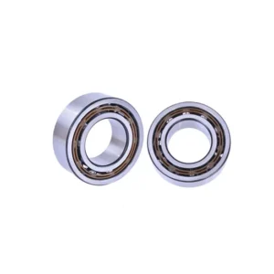 Bdl NK45/20 NK45/30 NK50/25 Needle Roller Bearings
