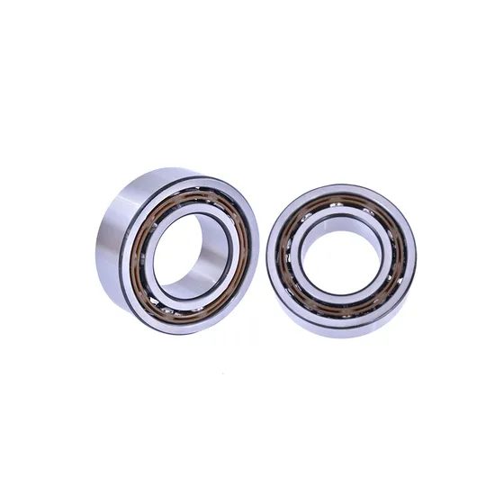 Bdl NK45/20 NK45/30 NK50/25 Needle Roller Bearings