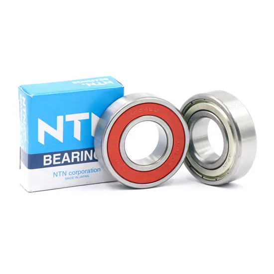 NSK 22244 22248 22256 22260 Self-Aligning Spherical Roller Bearing