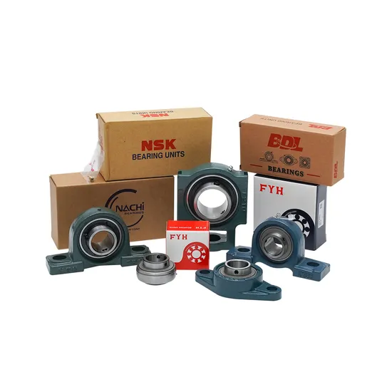 Bdl NJ305etn1 Zylinderrollenlager für Vibrationssieb