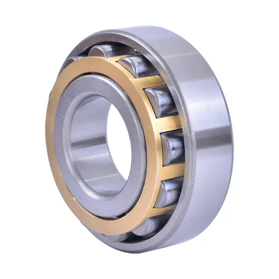 Cylindrical Roller Bearing N222em NJ222em NF222em NU222em NUP222em High Quality