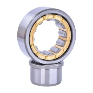 Bdl Cylindrical Roller Bearing High Quality Hot Sale