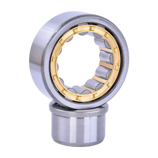 Bdl Cylindrical Roller Bearing High Quality Hot Sale
