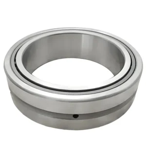 Bdl RNA4903 RNA4904 RNA4905 Needle Roller Bearings High Quality