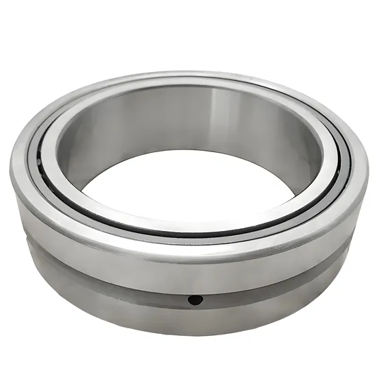 Bdl RNA4903 RNA4904 RNA4905 Needle Roller Bearings High Quality