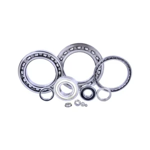 NACHI NF2222em NF2224em NF2226em Cylindrical Roller Bearing