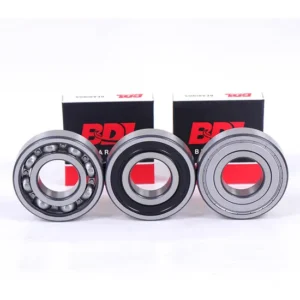 Nj2203em Nj2204em Nj2205em Cylindrical Roller Bearing
