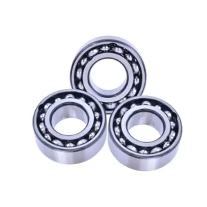 Bdl NK60/25 NK60/35 NK65/25 Needle Roller Bearings