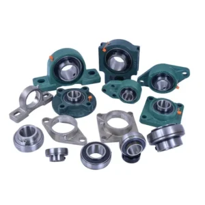 BDL NUP305 Cylindrical Roller Bearing for Motors