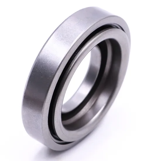 NSK Nup2215em 2216em 2217em Cylindrical Roller Bearing