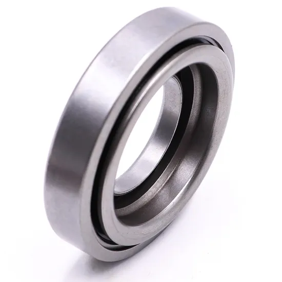 Koyo Timken NACHI Nu306em Nu307em Nu308em Cylindrical Roller Bearing