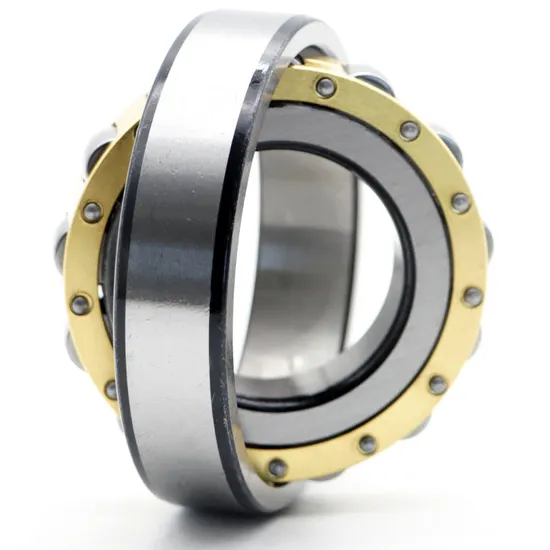 NSK NTN Koyo NJ417em NJ418em NJ419em Cylindrical Roller Bearing