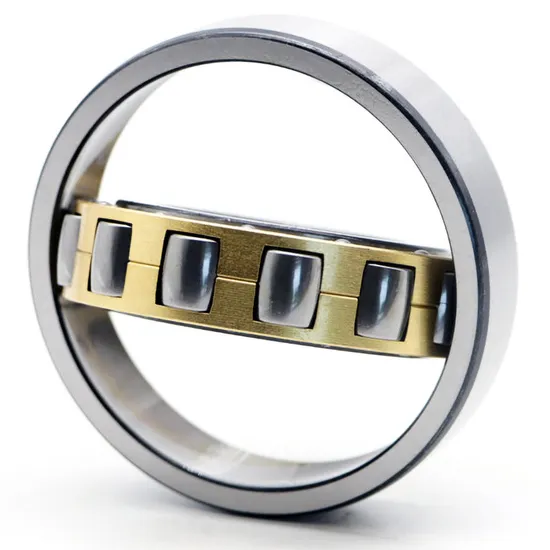 Nu2205EV Cylindrical Roller Bearing for Medium Large Motor