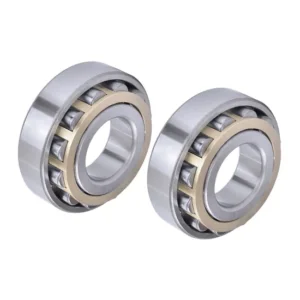 FAG Bdl High Precision Conical Roller Bearing