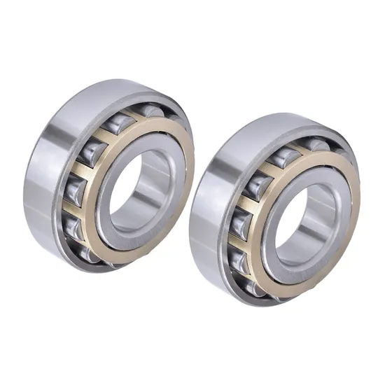 FAG Bdl High Precision Conical Roller Bearing