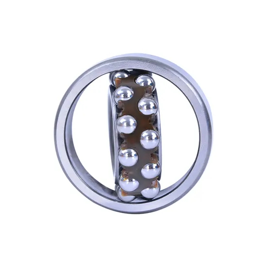 Timken NACHI NSK Nu224/226/228em Cylindrical Roller Bearing