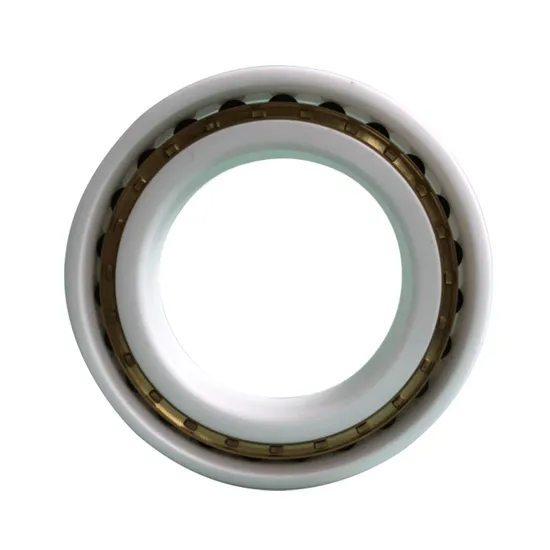 NSK 101.011 35bd5220du AC Compressor Bearing for Toyota Passat