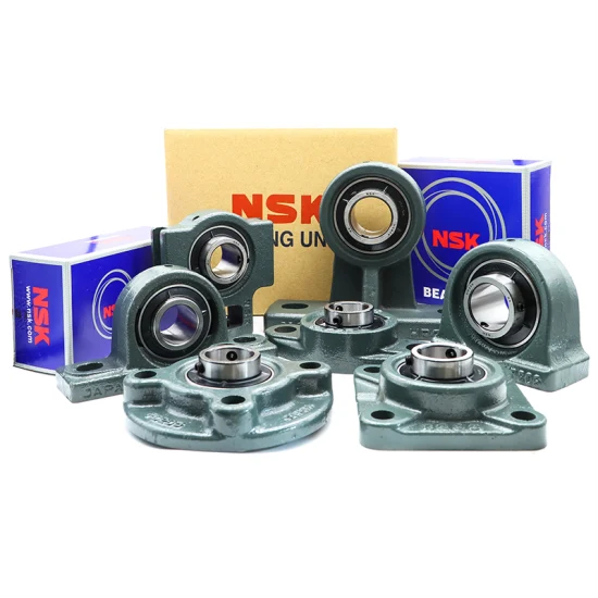 SKF 6012 2RS Zz High Load Precision Deep Groove Ball Bearing