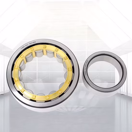 2J160Z-5 Sealed Cylindrical Roller Bearing 160.11x250x155mm for Sintering Medium Roll