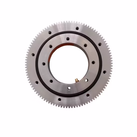 Custom Industrial Slewing Ring Bearing with Built-in Lubricator