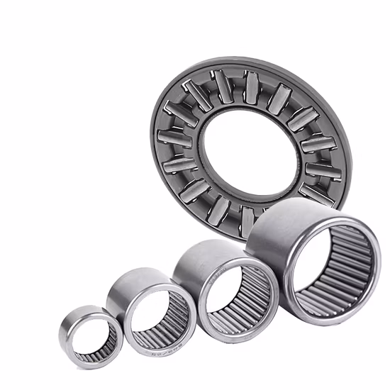 INA NA6909-ZW-XL 45mm Double Row Needle Roller Bearing X-Life