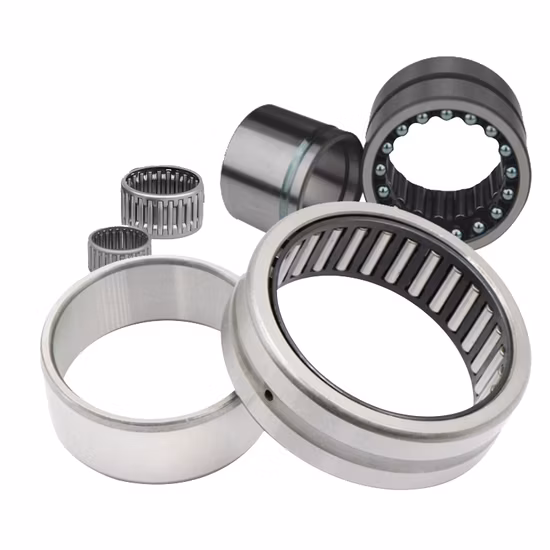 INA NA6919-ZW-XL Double Row Needle Roller Bearing 95mm Genuine Authorized