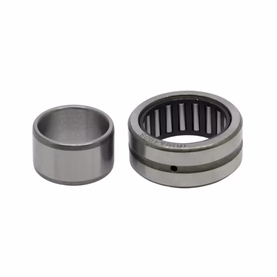 INA RNA4903 Needle Roller Bearing Without Inner Ring High Speed Precision